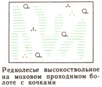 Условные знаки для топографических планов - Примеры сочетания изображений растительности, грунтов и сельскохозяйственных угодий | geosar.ru