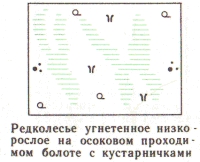 Условные знаки для топографических планов - Примеры сочетания изображений растительности, грунтов и сельскохозяйственных угодий | geosar.ru