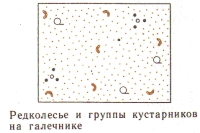 Условные знаки для топографических планов - Примеры сочетания изображений растительности, грунтов и сельскохозяйственных угодий | geosar.ru