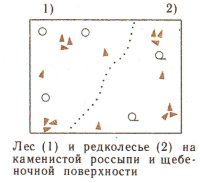 Условные знаки для топографических планов - Примеры сочетания изображений растительности, грунтов и сельскохозяйственных угодий | geosar.ru