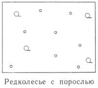 Условные знаки для топографических планов - Примеры сочетания изображений растительности, грунтов и сельскохозяйственных угодий | geosar.ru