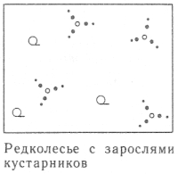 Условные знаки для топографических планов - Примеры сочетания изображений растительности, грунтов и сельскохозяйственных угодий | geosar.ru