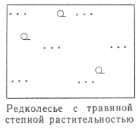 Условные знаки для топографических планов - Примеры сочетания изображений растительности, грунтов и сельскохозяйственных угодий | geosar.ru
