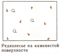 Условные знаки для топографических планов - Примеры сочетания изображений растительности, грунтов и сельскохозяйственных угодий | geosar.ru