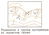 Условные знаки для топографических планов - Примеры сочетания изображений растительности, грунтов и сельскохозяйственных угодий | geosar.ru