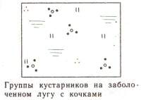 Условные знаки для топографических планов - Примеры сочетания изображений растительности, грунтов и сельскохозяйственных угодий | geosar.ru