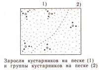 Условные знаки для топографических планов - Примеры сочетания изображений растительности, грунтов и сельскохозяйственных угодий | geosar.ru