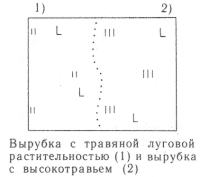 Условные знаки для топографических планов - Примеры сочетания изображений растительности, грунтов и сельскохозяйственных угодий | geosar.ru
