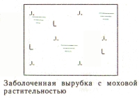 Условные знаки для топографических планов - Примеры сочетания изображений растительности, грунтов и сельскохозяйственных угодий | geosar.ru