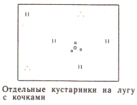 Условные знаки для топографических планов - Примеры сочетания изображений растительности, грунтов и сельскохозяйственных угодий | geosar.ru