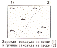 Условные знаки для топографических планов - Примеры сочетания изображений растительности, грунтов и сельскохозяйственных угодий | geosar.ru