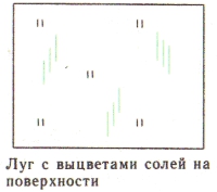 Условные знаки для топографических планов - Примеры сочетания изображений растительности, грунтов и сельскохозяйственных угодий | geosar.ru