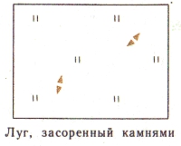 Условные знаки для топографических планов - Примеры сочетания изображений растительности, грунтов и сельскохозяйственных угодий | geosar.ru