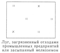 Условные знаки для топографических планов - Примеры сочетания изображений растительности, грунтов и сельскохозяйственных угодий | geosar.ru