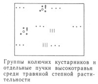 Условные знаки для топографических планов - Примеры сочетания изображений растительности, грунтов и сельскохозяйственных угодий | geosar.ru