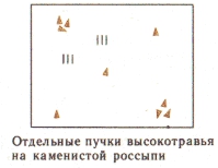 Условные знаки для топографических планов - Примеры сочетания изображений растительности, грунтов и сельскохозяйственных угодий | geosar.ru