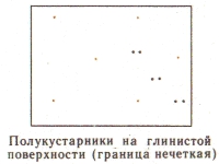Условные знаки для топографических планов - Примеры сочетания изображений растительности, грунтов и сельскохозяйственных угодий | geosar.ru