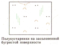 Условные знаки для топографических планов - Примеры сочетания изображений растительности, грунтов и сельскохозяйственных угодий | geosar.ru