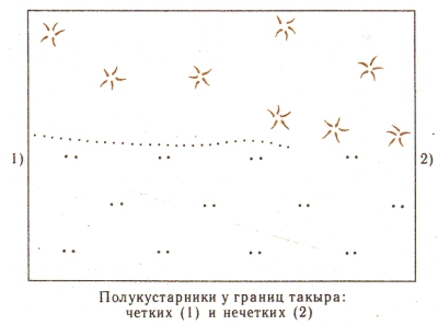 Условные знаки для топографических планов - Примеры сочетания изображений растительности, грунтов и сельскохозяйственных угодий | geosar.ru