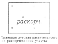 Условные знаки для топографических планов - Примеры сочетания изображений растительности, грунтов и сельскохозяйственных угодий | geosar.ru