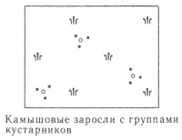 Условные знаки для топографических планов - Примеры сочетания изображений растительности, грунтов и сельскохозяйственных угодий | geosar.ru