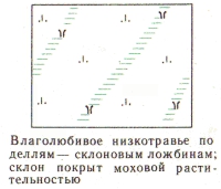 Условные знаки для топографических планов - Примеры сочетания изображений растительности, грунтов и сельскохозяйственных угодий | geosar.ru
