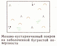 Условные знаки для топографических планов - Примеры сочетания изображений растительности, грунтов и сельскохозяйственных угодий | geosar.ru