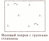 Условные знаки для топографических планов - Примеры сочетания изображений растительности, грунтов и сельскохозяйственных угодий | geosar.ru