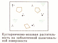 Условные знаки для топографических планов - Примеры сочетания изображений растительности, грунтов и сельскохозяйственных угодий | geosar.ru