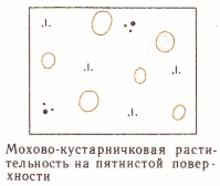 Условные знаки для топографических планов - Примеры сочетания изображений растительности, грунтов и сельскохозяйственных угодий | geosar.ru