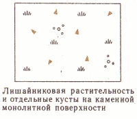 Условные знаки для топографических планов - Примеры сочетания изображений растительности, грунтов и сельскохозяйственных угодий | geosar.ru