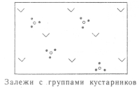 Условные знаки для топографических планов - Сочетания изображений сельскохозяйственных угодий | geosar.ru