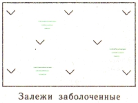 Условные знаки для топографических планов - Сочетания изображений сельскохозяйственных угодий | geosar.ru