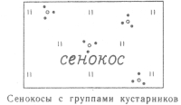 Условные знаки для топографических планов - Сочетания изображений сельскохозяйственных угодий | geosar.ru