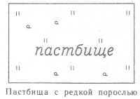 Условные знаки для топографических планов - Сочетания изображений сельскохозяйственных угодий | geosar.ru